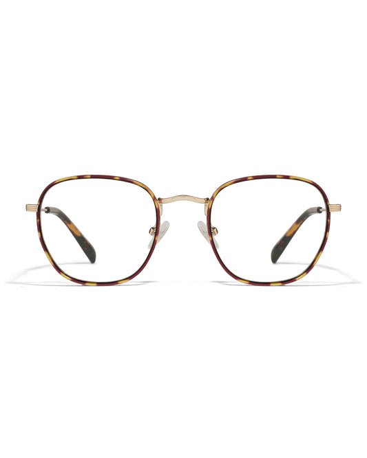 Lunettes de vue Apollo AP1179EX-C2 — vue de face, monture optique