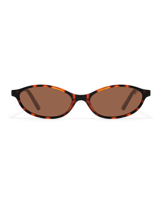 Lunettes de soleil Apollo AP3115-C2 — vue de face, verres polarisés UV400