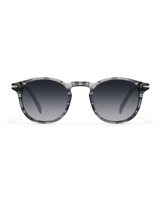 Lunettes de soleil Apollo AP3118-C2 — vue de face, verres polarisés UV400