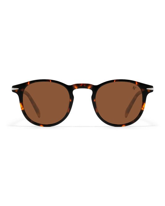 Lunettes de soleil Apollo AP3118-C4 — vue de face, verres polarisés UV400