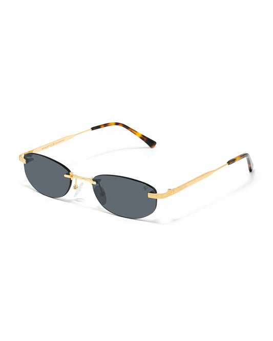 Lunettes de soleil Apollo AP3130-C2 — vue de trois quarts